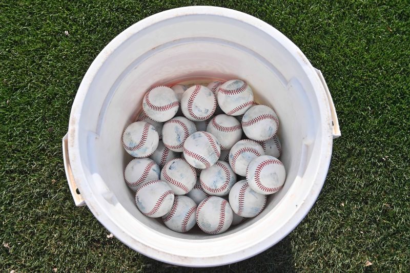 College baseball game briefly paused after pelican gets stuck in net